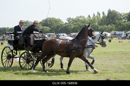 39th Kösely Kupa Hungary/Hajdúszoboszló 2020-stock-foto