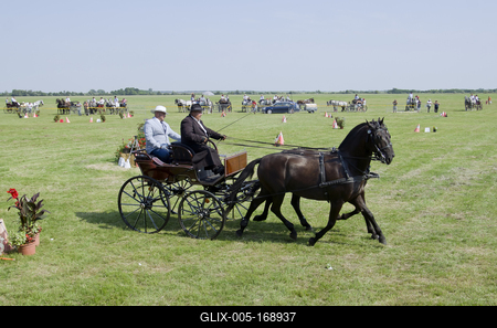 39th Kösely Kupa Hungary/Hajdúszoboszló 2020-stock-foto