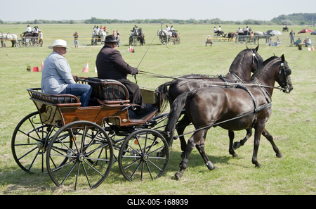 39th Kösely Kupa Hungary/Hajdúszoboszló 2020-stock-foto