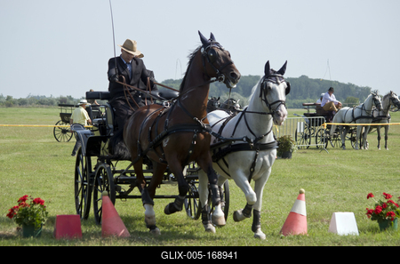 39th Kösely Kupa Hungary/Hajdúszoboszló 2020-stock-foto