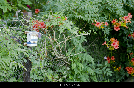 Boldogkőváralja-stock-foto