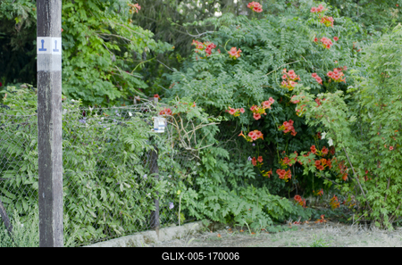 Boldogkőváralja-stock-foto