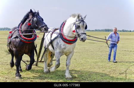 40. Kösely Kupa Hajdúszoboszló-stock-foto