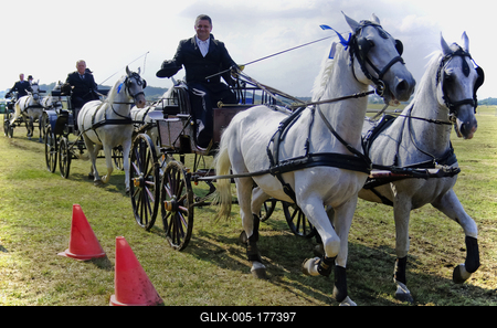 40. Kösely Kupa Hajdúszoboszló-stock-foto