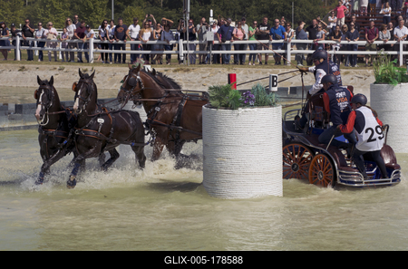 FEI Driving European Championship for Four in Hand- Budapest 2021-stock-foto