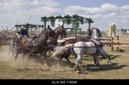 FEI Driving European Championship for Four in Hand- Budapest 2021-stock-foto