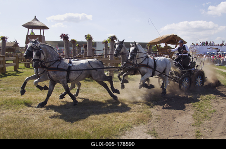 FEI Driving European Championship for Four in Hand- Budapest 2021-stock-foto