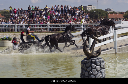 FEI Driving European Championship for Four in Hand- Budapest 2021-stock-foto