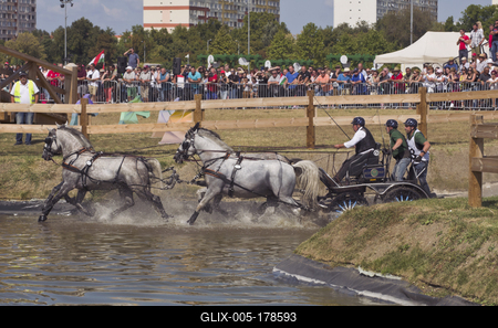 FEI Driving European Championship for Four in Hand- Budapest 2021-stock-foto