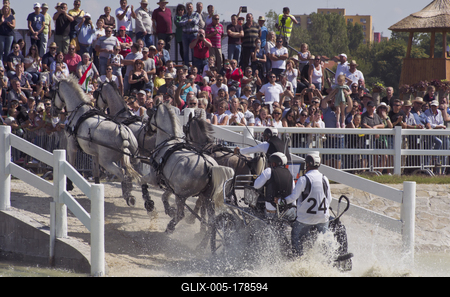 FEI Driving European Championship for Four in Hand- Budapest 2021-stock-foto