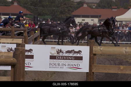 FEI Driving European Championship for Four in Hand- Budapest 2021-stock-foto