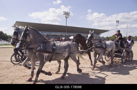 FEI Driving European Championship for Four in Hand- Budapest 2021-stock-foto