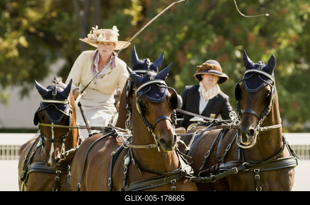 FEI Driving European Championship for Four in Hand- Budapest 2021-stock-foto