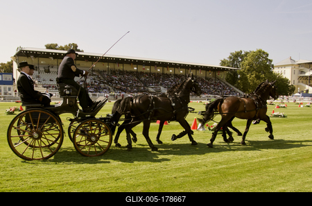 FEI Driving European Championship for Four in Hand- Budapest 2021-stock-foto