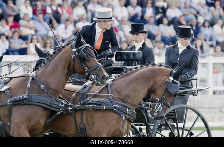 FEI Driving European Championship for Four in Hand- Budapest 2021-stock-foto