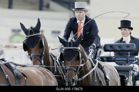 FEI Driving European Championship for Four in Hand- Budapest 2021-stock-foto