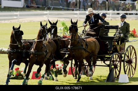 FEI Driving European Championship for Four in Hand- Budapest 2021-stock-foto