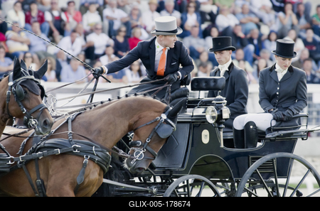 FEI Driving European Championship for Four in Hand- Budapest 2021-stock-foto