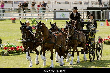 FEI Driving European Championship for Four in Hand- Budapest 2021-stock-foto