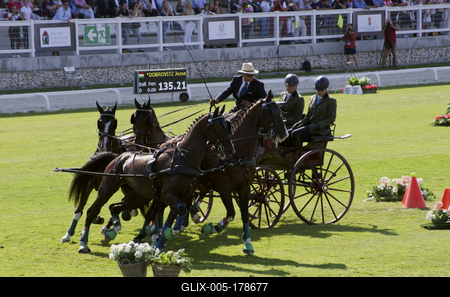 FEI Driving European Championship for Four in Hand- Budapest 2021-stock-foto