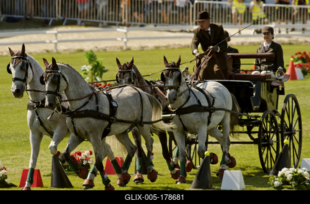 FEI Driving European Championship for Four in Hand- Budapest 2021-stock-foto