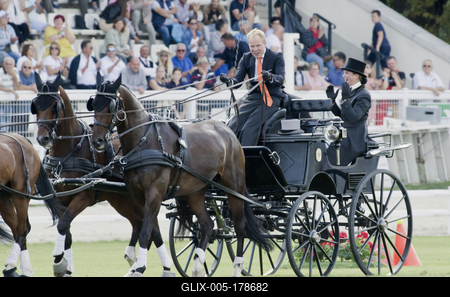 FEI Driving European Championship for Four in Hand- Budapest 2021-stock-foto