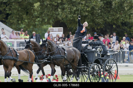 FEI Driving European Championship for Four in Hand- Budapest 2021-stock-foto