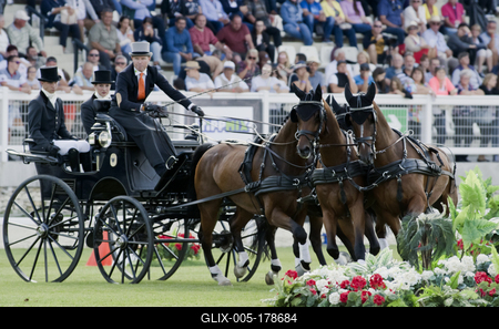 FEI Driving European Championship for Four in Hand- Budapest 2021-stock-foto