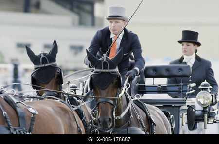 FEI Driving European Championship for Four in Hand- Budapest 2021-stock-foto