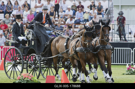 FEI Driving European Championship for Four in Hand- Budapest 2021-stock-foto