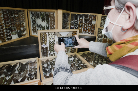 Nemzetközi Rovarbörze a budapesti KMO-ban.-stock-foto