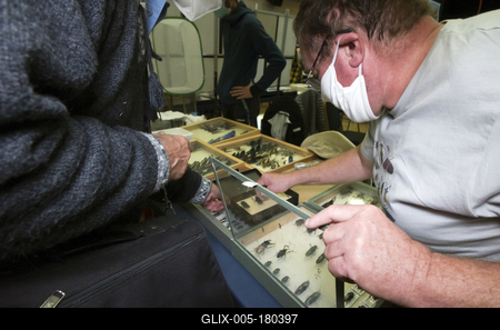 Nemzetközi Rovarbörze a budapesti KMO-ban.-stock-foto
