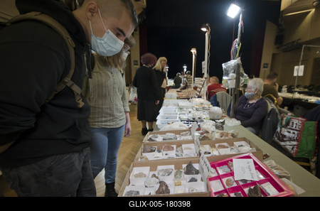 Ásványbörze a budapesti KMO-ban.-stock-foto