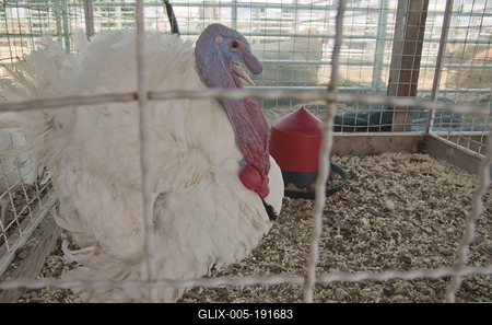 Farmer Expo 2022-stock-foto