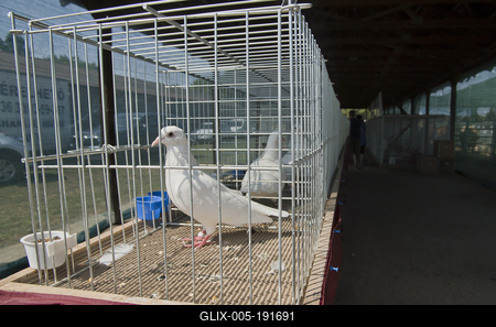 Farmer Expo 2022-stock-foto