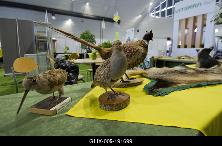 Farmer Expo 2022-stock-foto