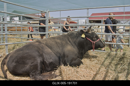 Farmer Expo 2022-stock-foto