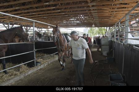 Farmer Expo 2022-stock-foto