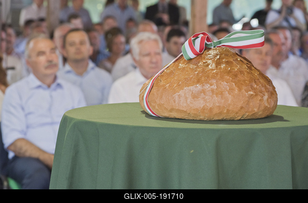 Farmer Expo 2022-stock-foto