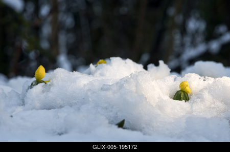 Tél vége-stock-foto