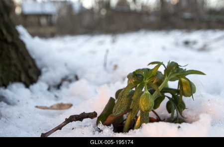 Tél vége-stock-foto
