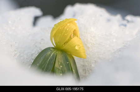 Tél vége-stock-foto