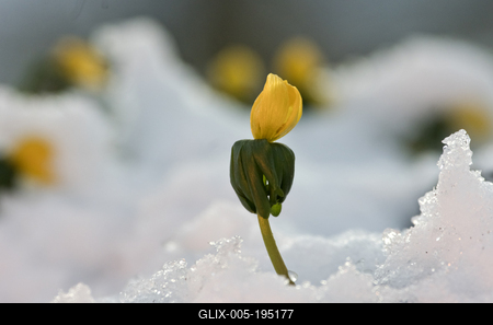 Tél vége-stock-foto