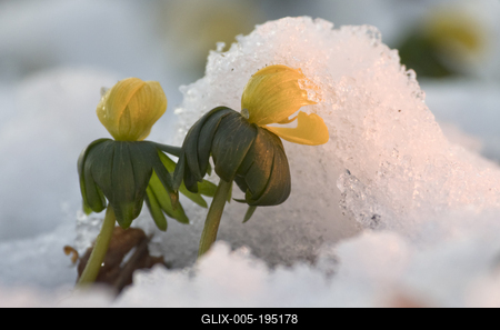 Tél vége-stock-foto