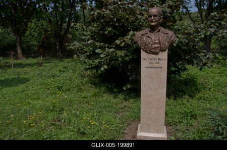 Farkasszigeti Botanikus kert Püspökladány-stock-foto