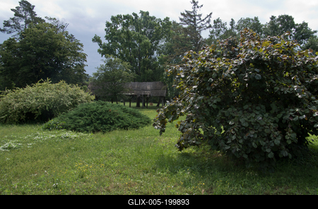 Farkasszigeti Botanikus kert Püspökladány-stock-foto