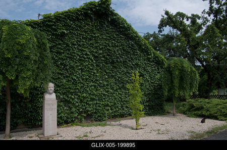 Farkasszigeti Botanikus kert Püspökladány-stock-foto