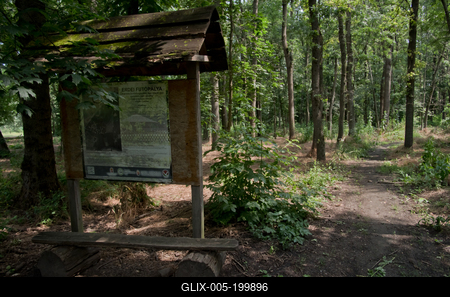 Farkasszigeti Botanikus kert Püspökladány-stock-foto