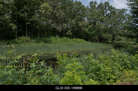 Farkasszigeti Botanikus kert Püspökladány-stock-foto