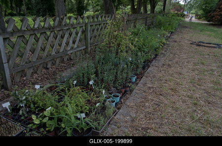 Farkasszigeti Botanikus kert Püspökladány-stock-foto